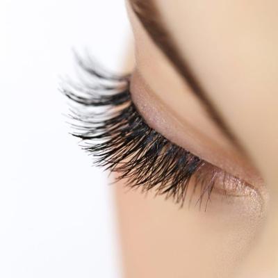 Wimpern und Augenbrauen
